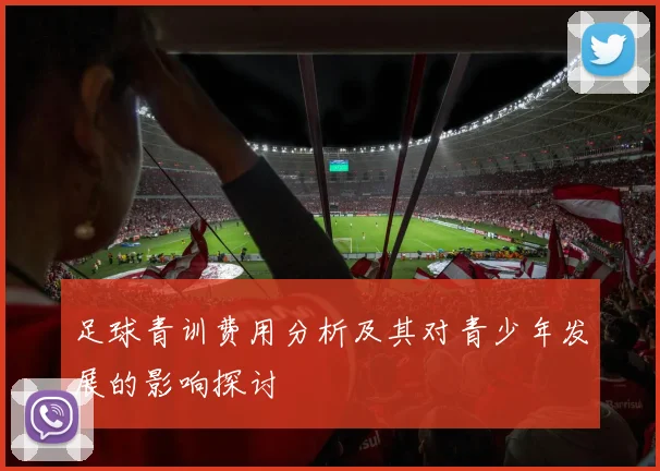 足球青训费用分析及其对青少年发展的影响探讨
