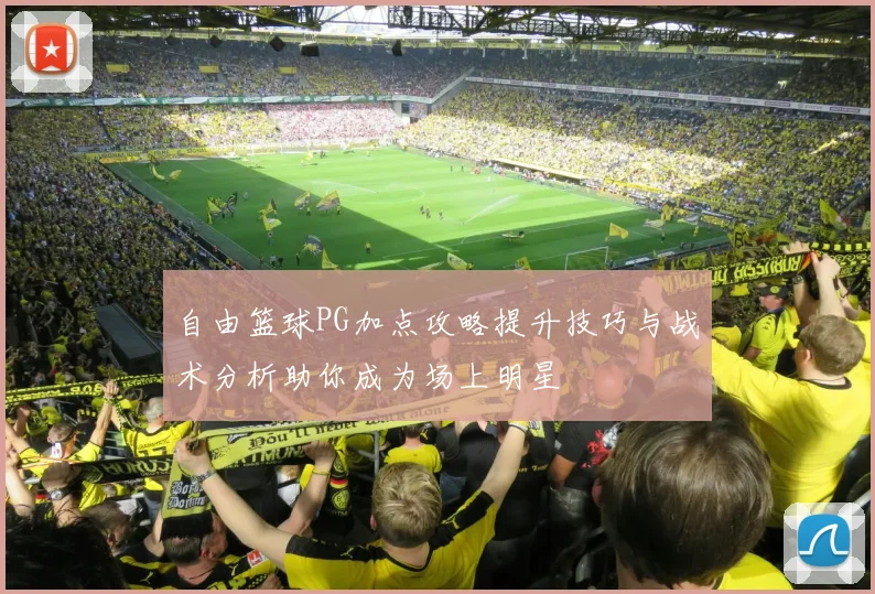 自由篮球PG加点攻略提升技巧与战术分析助你成为场上明星