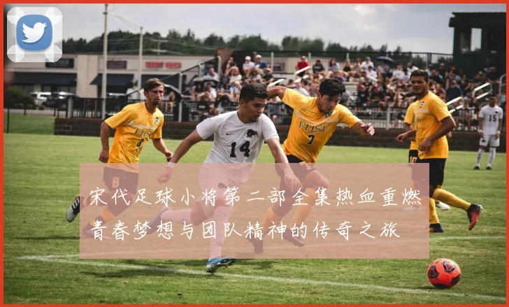 宋代足球小将第二部全集热血重燃青春梦想与团队精神的传奇之旅